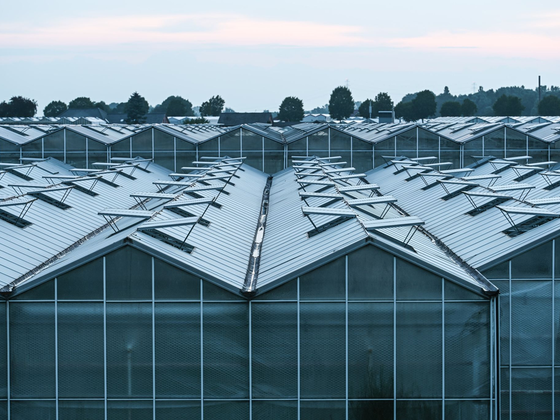 Das Statistisches Bundesamt hat Importzahlen aus dem vergangen Jahr von Obst und Gemüse in Relation zur heimischen Ernte bekannt gegeben. - Foto: Lars Penning/dpa