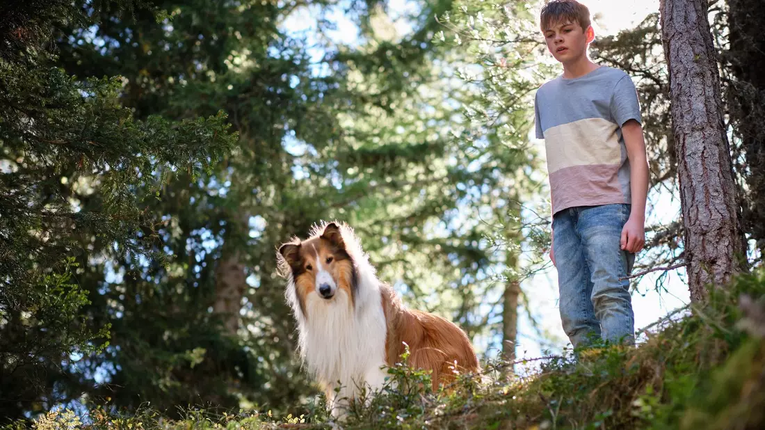 Flo (Nico Marischka) will sich auch in den Ferien nicht von Lassie trennen. - Bild: Olver Oppitz/Leonine/dpa