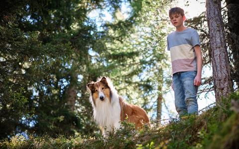 Flo (Nico Marischka) will sich auch in den Ferien nicht von Lassie trennen. - Foto: Olver Oppitz/Leonine/dpa