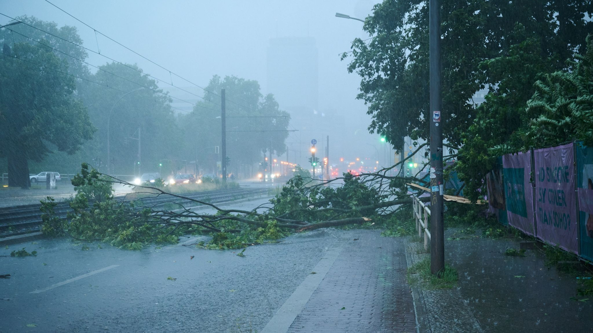 Der Starkregen hat einen Baum quer auf die Prenzlauer Allee stürzen lassen. - Foto: Annette Riedl/dpa
