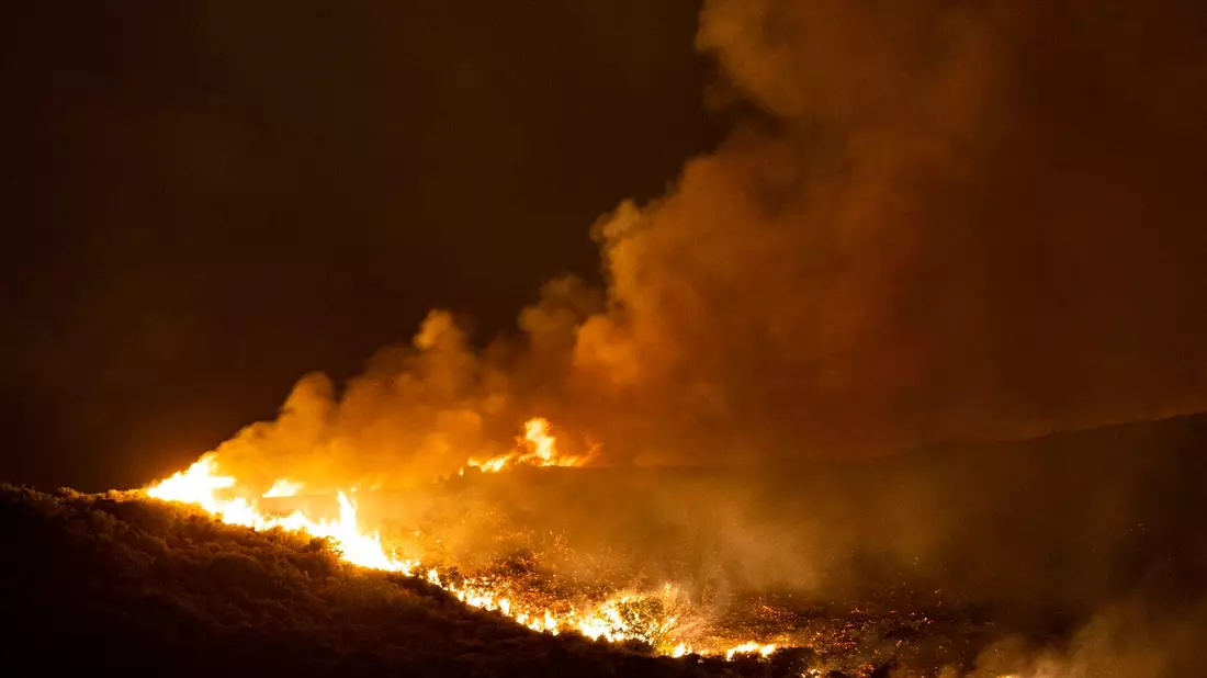 Nahe der Ortschaft Vati im Süden der Insel Rhodos steht ein Wald in Flammen. - Bild: Christoph Reichwein/dpa