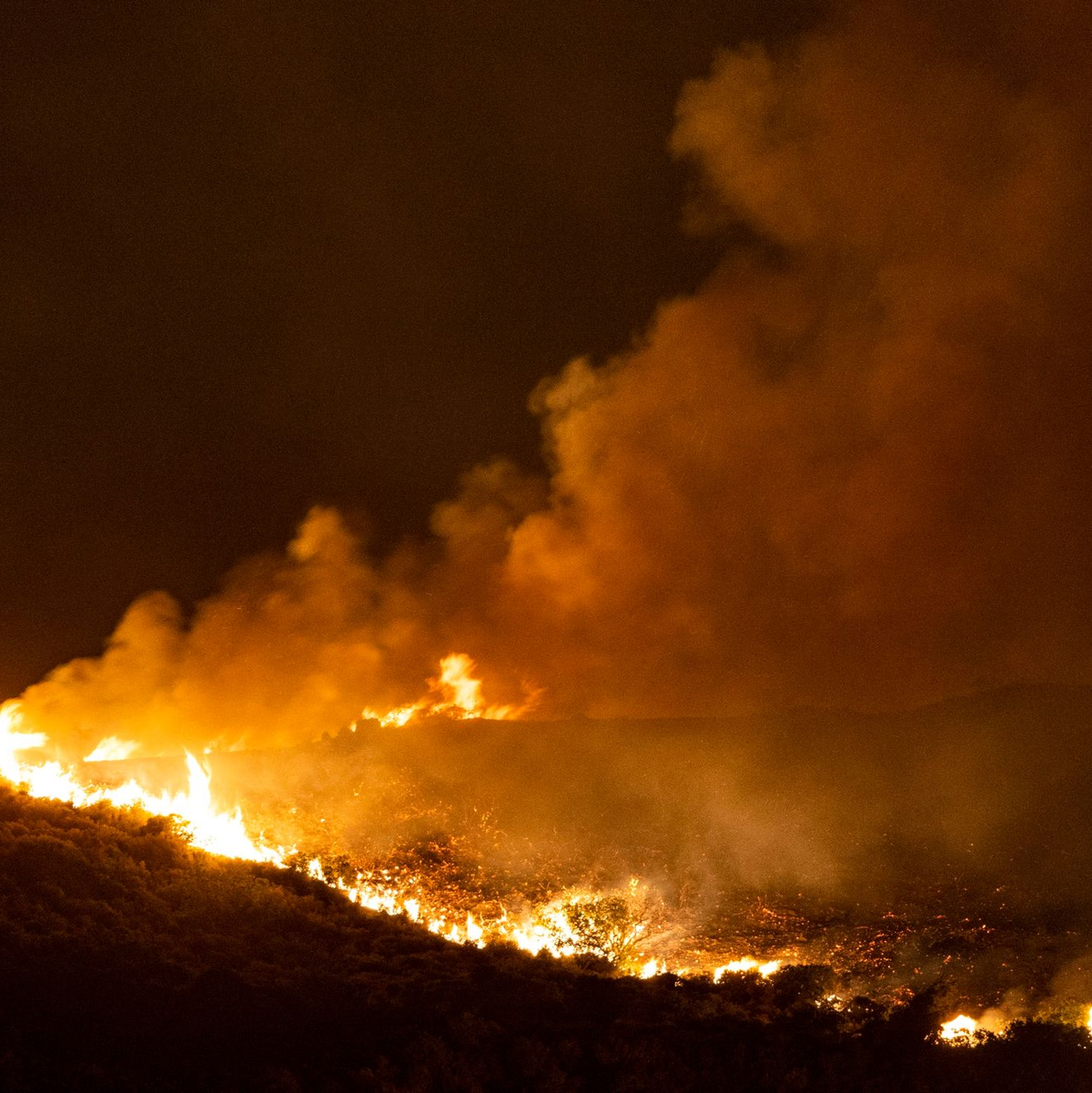 Nahe der Ortschaft Vati im Süden der Insel Rhodos steht ein Wald in Flammen. - Foto: Christoph Reichwein/dpa