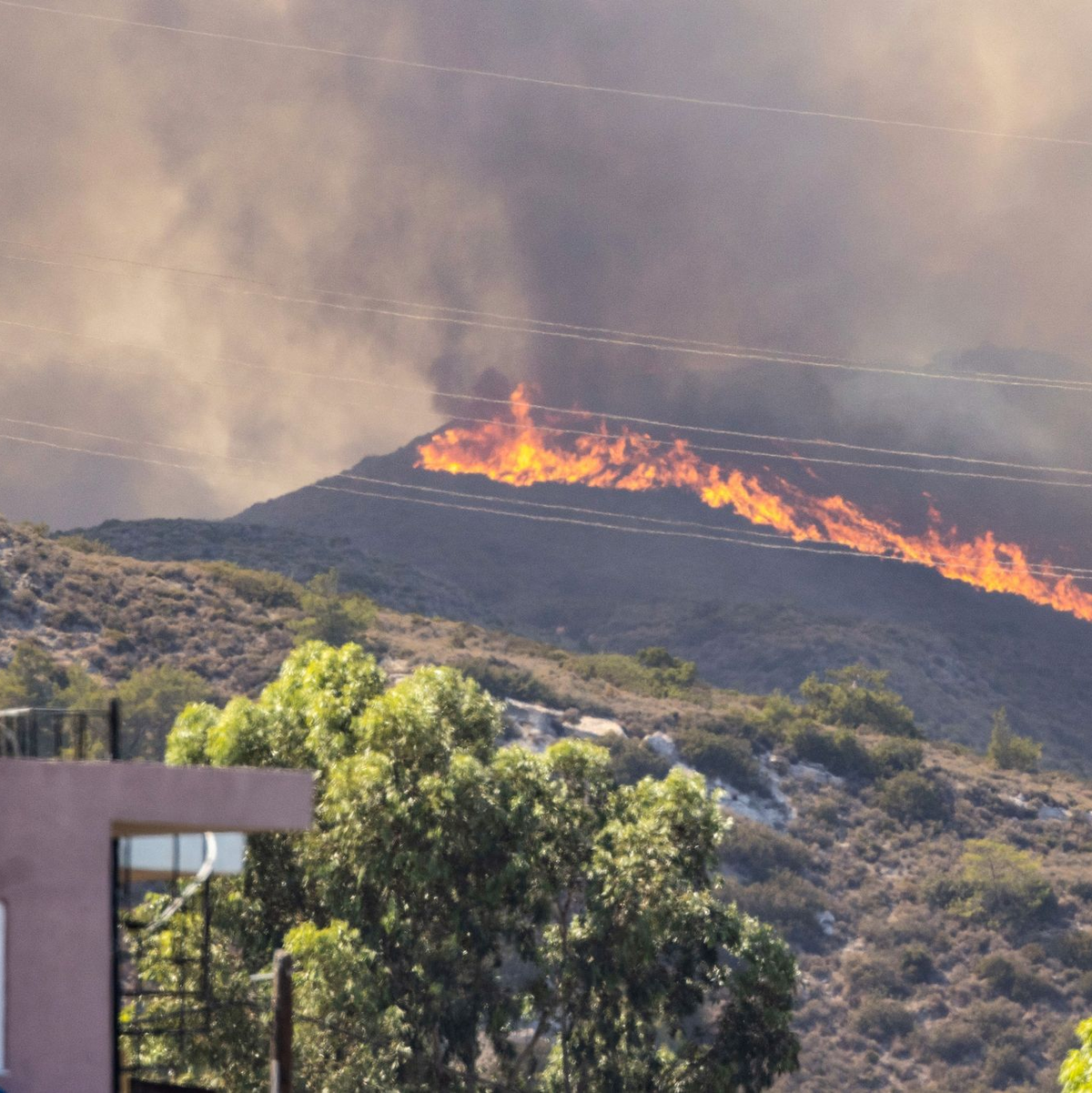 Waldbrand Nahe der Ortschaft Gennadi auf Rhodos. In Griechenland toben Waldbrände in zahlreichen Regionen. - Foto: Christoph Reichwein/dpa