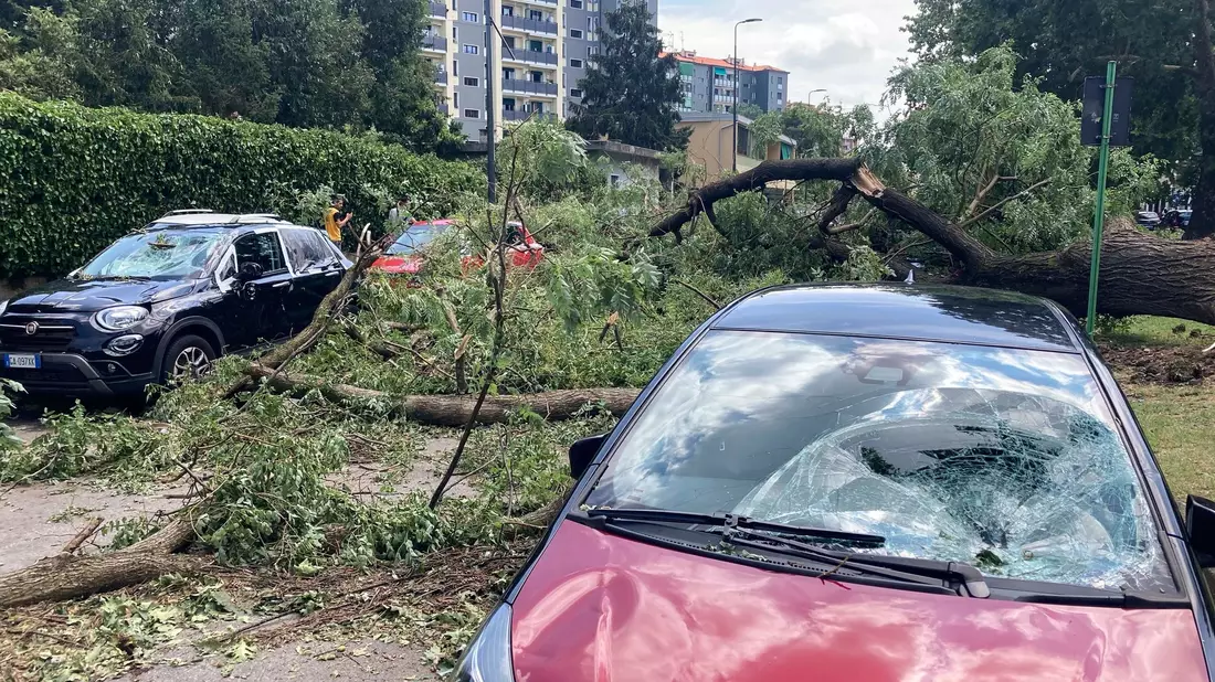 Ein umgestürzter Baum liegt neben beschädigten Autos in der norditalienischen Stadt Mailand. - Bild: Luca Bruno/AP/dpa