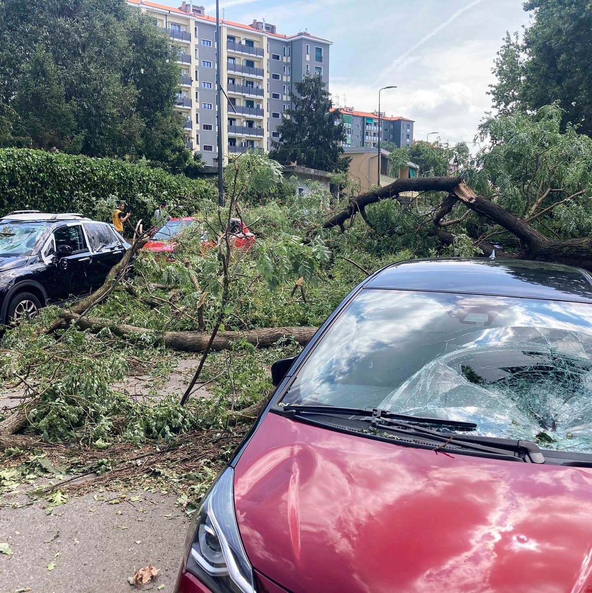 Ein umgestürzter Baum liegt neben beschädigten Autos in der norditalienischen Stadt Mailand. - Foto: Luca Bruno/AP/dpa