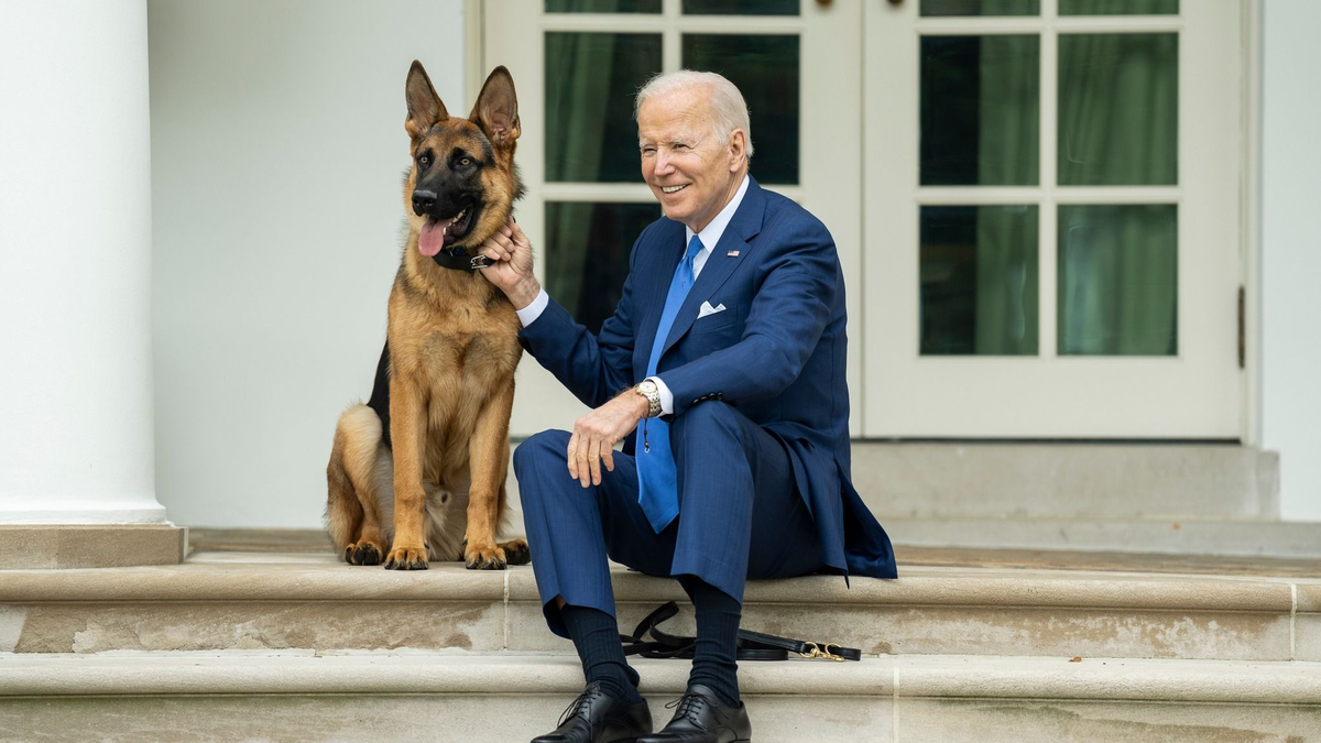 US-Präsident Joe Biden sitzt mit seinem Hund auf den Stufen vor dem Weißen Haus. - Foto: President Joe Biden/APA Images via ZUMA Press Wire/dpa