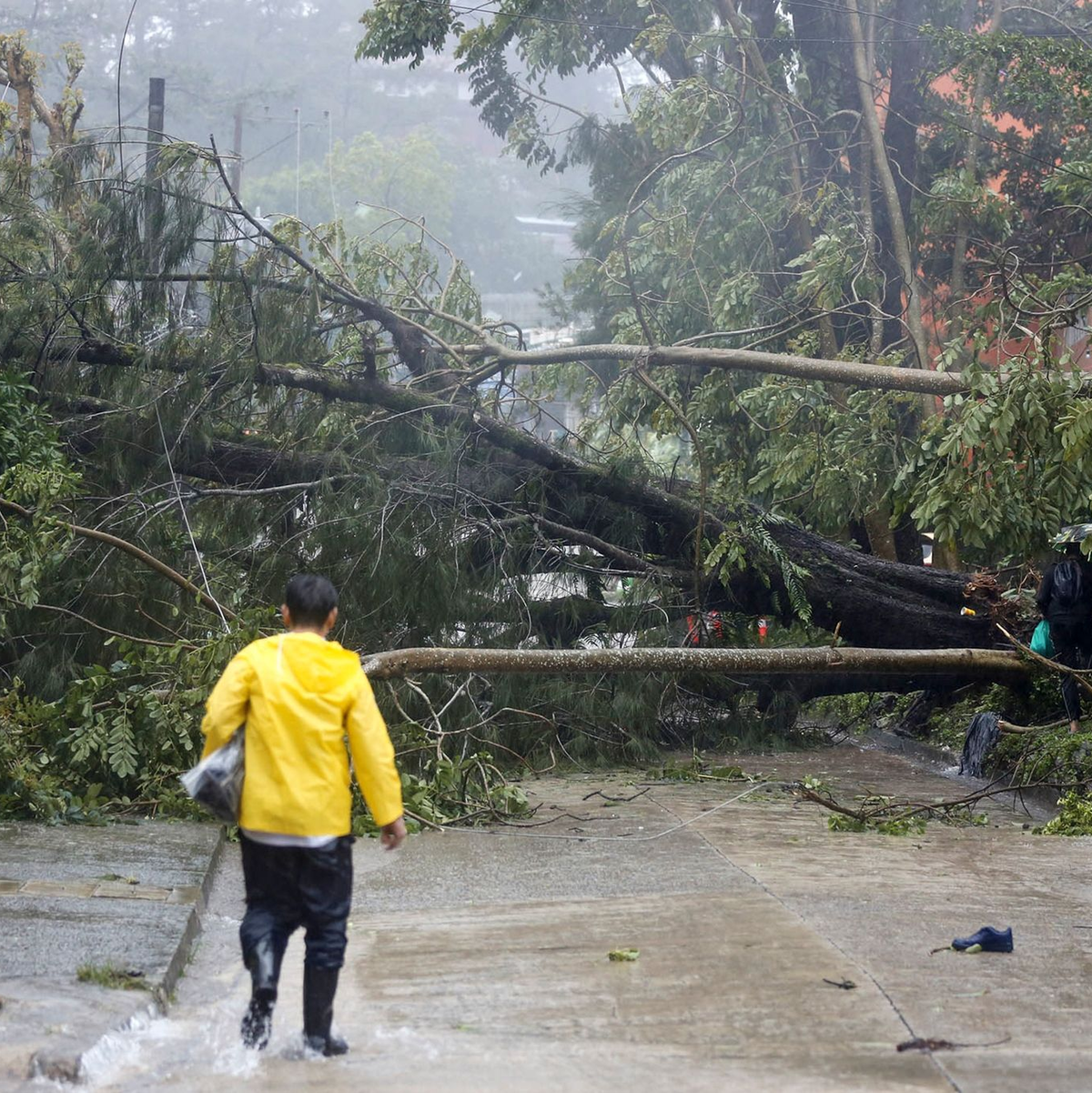 Ein Polizist inspiziert einen durch den Taifun «Doksuri» verursachten Erdrutsch in einem Wohngebiet in Baguio City. - Foto: Uncredited/AP