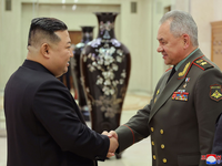 Handschlag in Pjöngjang: Kim Jong Un (l) empfängt Sergej Schoigu. - Foto: KCNA/KNS/dpa