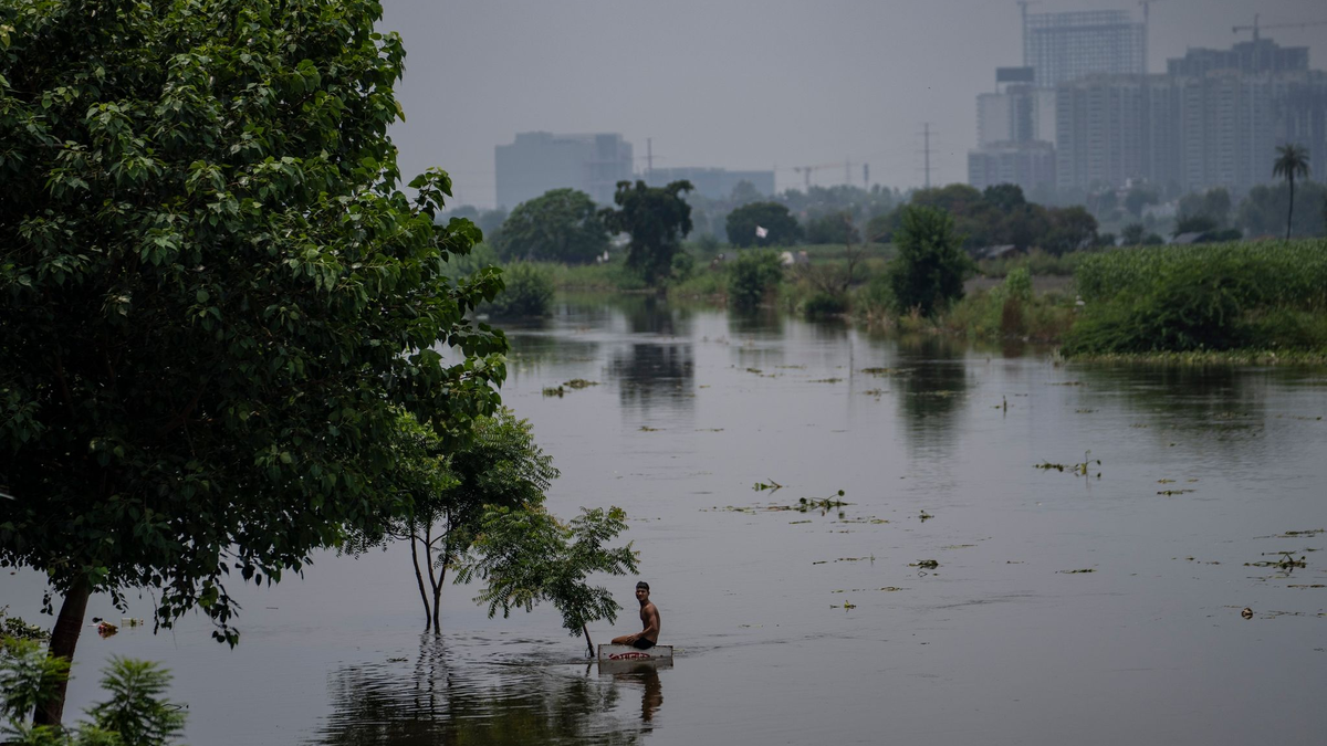 Ein Junge sitzt auf einem Schild in der Nähe einer Wohnkolonie, die vom Hochwasser des Flusses Hindon überschwemmt wurde. - Foto: Altaf Qadri/AP/dpa