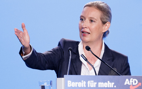 Alice Weidel in Magdeburg. - Foto: Carsten Koall/dpa