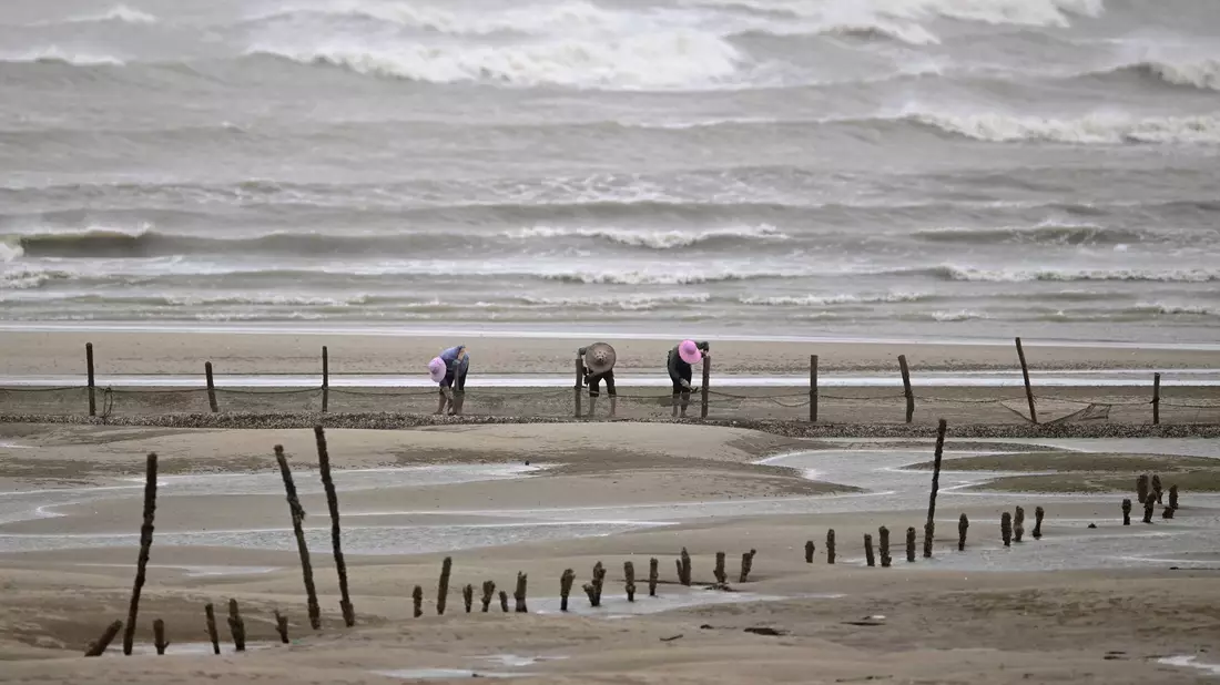 Sicherheit geht vor: Fischer beenden ihre Arbeit am Strand in Fuzhou. - Bild: Wei Peiquan/XinHua/dpa