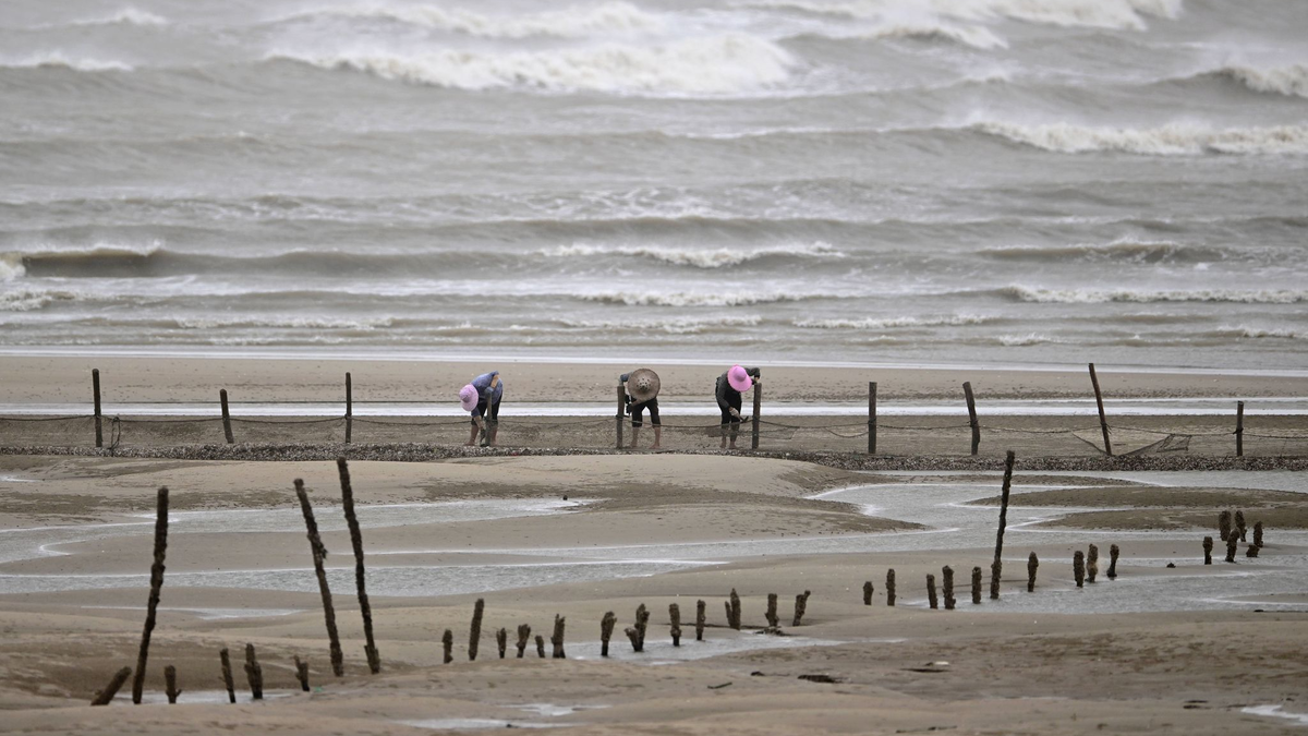 Sicherheit geht vor: Fischer beenden ihre Arbeit am Strand in Fuzhou. - Foto: Wei Peiquan/XinHua/dpa