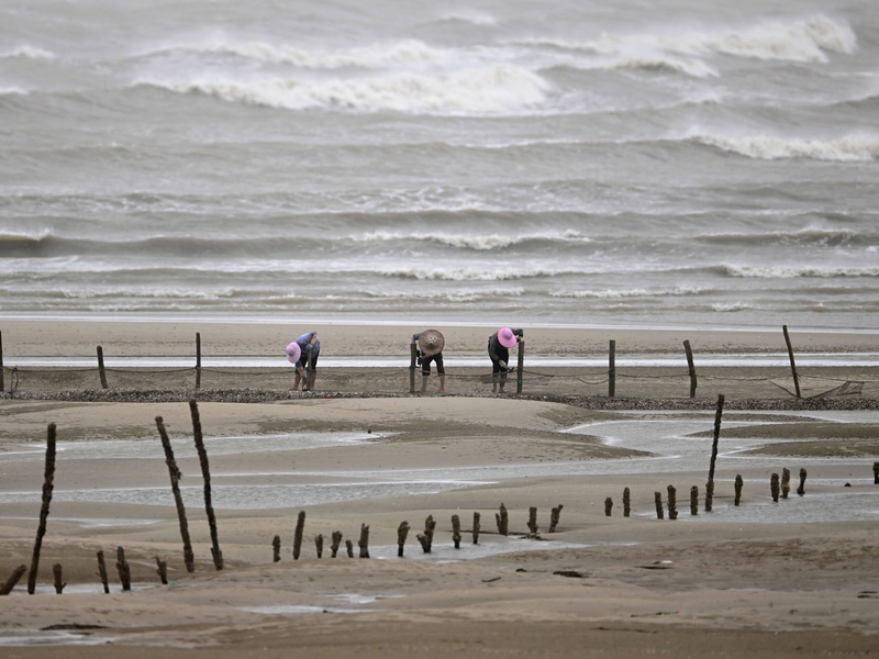 Sicherheit geht vor: Fischer beenden ihre Arbeit am Strand in Fuzhou. - Foto: Wei Peiquan/XinHua/dpa