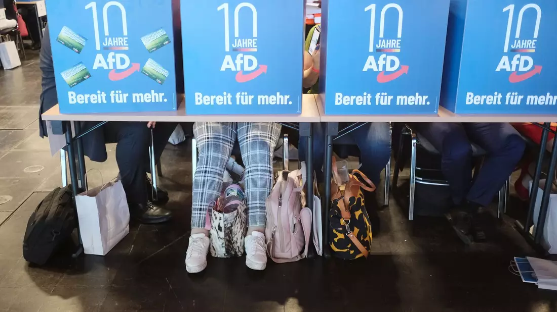 Delegierte geben hinter Wahlkabinen ihre Stimmen für die Listenplätze der AfD für die Europawahl ab. - Bild: Sebastian Willnow/dpa