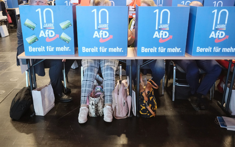 Delegierte geben hinter Wahlkabinen ihre Stimmen für die Listenplätze der AfD für die Europawahl ab. - Foto: Sebastian Willnow/dpa