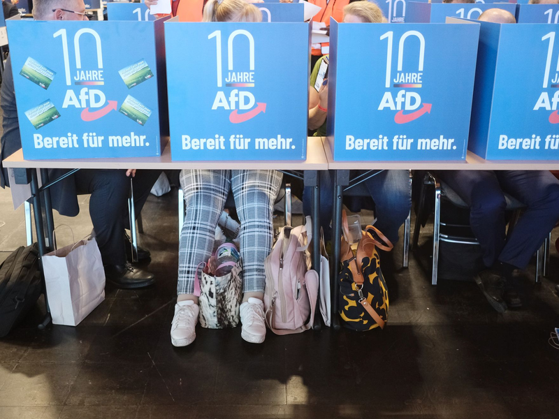 Delegierte geben hinter Wahlkabinen ihre Stimmen für die Listenplätze der AfD für die Europawahl ab. - Foto: Sebastian Willnow/dpa