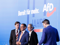 In Sachsen, Thüringen und Brandenburg liegt die AfD in Umfragen mit Blick auf die anstehenden Landtagswahlen teils deutlich vorne. - Foto: Carsten Koall/dpa