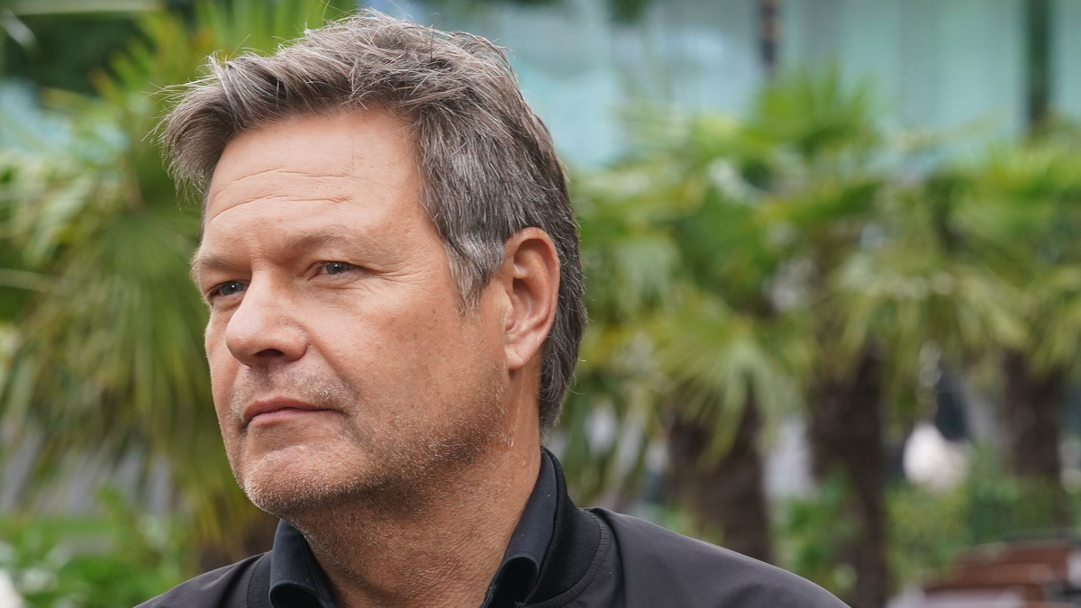 «Steuerbare» Kraftwerke sollen laut Bundeswirtschaftsminister Habeck einspringen, wenn Wind und Sonne nicht ausreichen. - Foto: Marcus Brandt/dpa