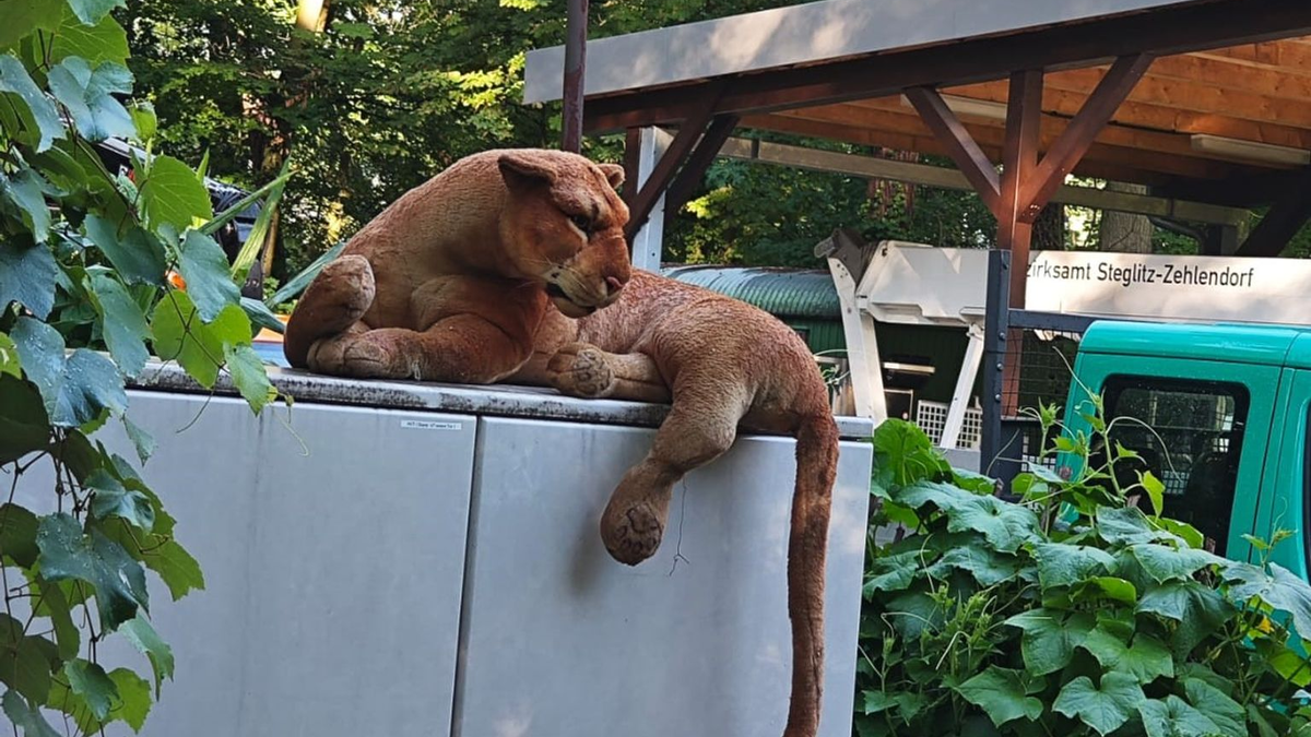 Wegen dieses Plüschtiers hat ein besorgter Anrufer in Berlin den Notruf gewählt. - Foto: Polizei Berlin