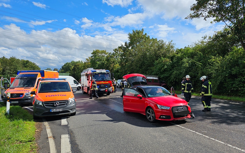 HZA-GI: Tierischer Besuch im Kindergarten Ein aufregender Vormittag für die Vorschulkinder in Schöffengrund - Foto: presseportal.de
