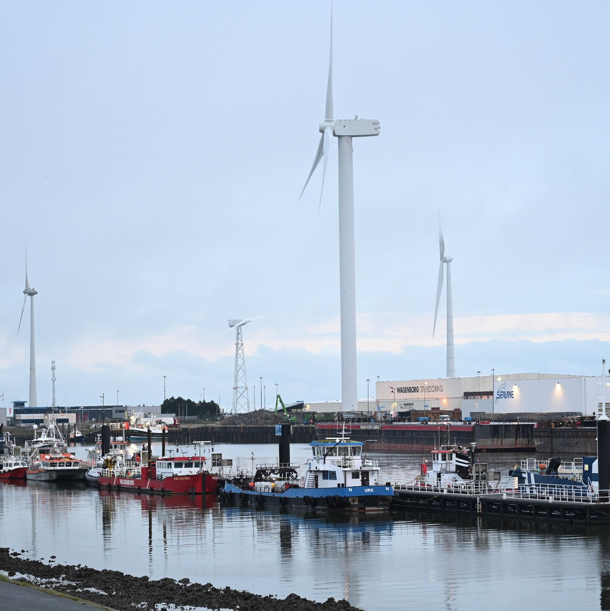 Blick auf den vorgesehenen Liegeplatz für den Frachter «Fremantle Highway«. - Foto: Lars Penning/dpa