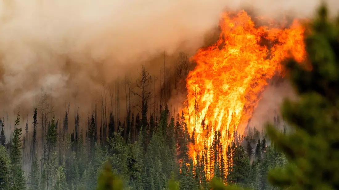 Ein Waldbrand wütet in der Region Donnie Creek in British Columbia. Nach Angaben des EU-Erdbeobachtungsprogramms Copernicus sind Rekordmengen an Kohlenstoff in die Atmosphäre aufgestiegen. - Bild: Noah Berger/AP/dpa
