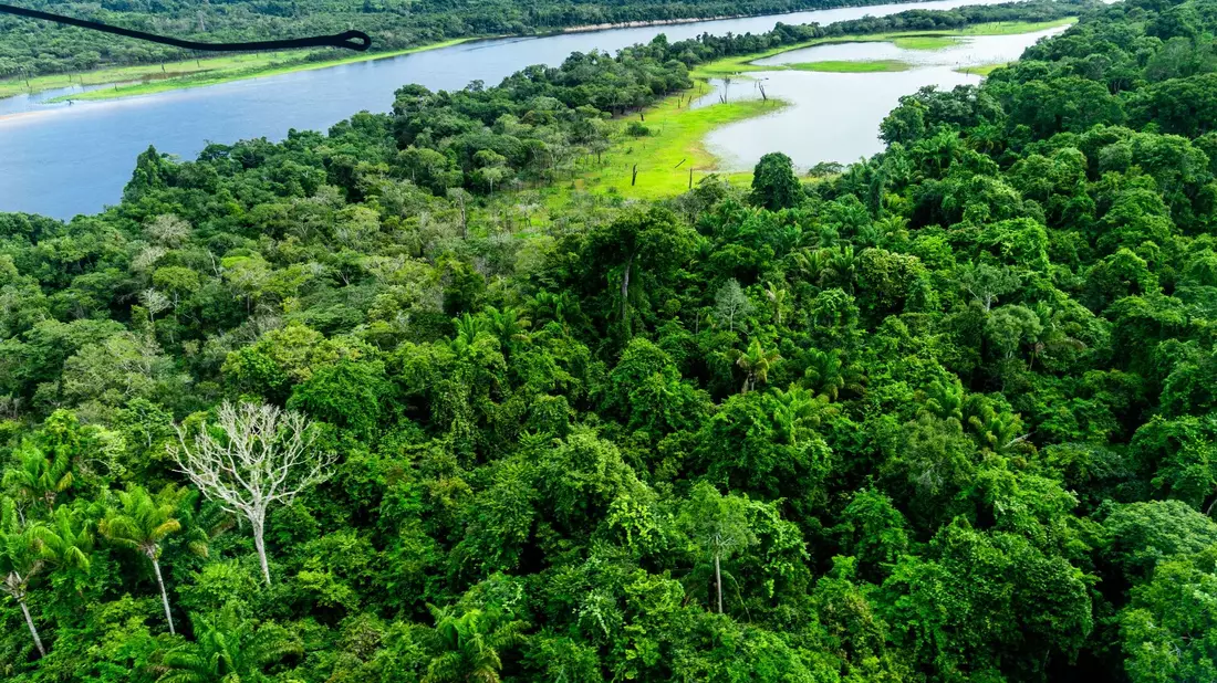 Der Amazonas-Regenwald gilt als CO2-Speicher und hat eine wichtige Funktion im internationalen Kampf gegen den Klimawandel. - Bild: Jens Büttner/dpa