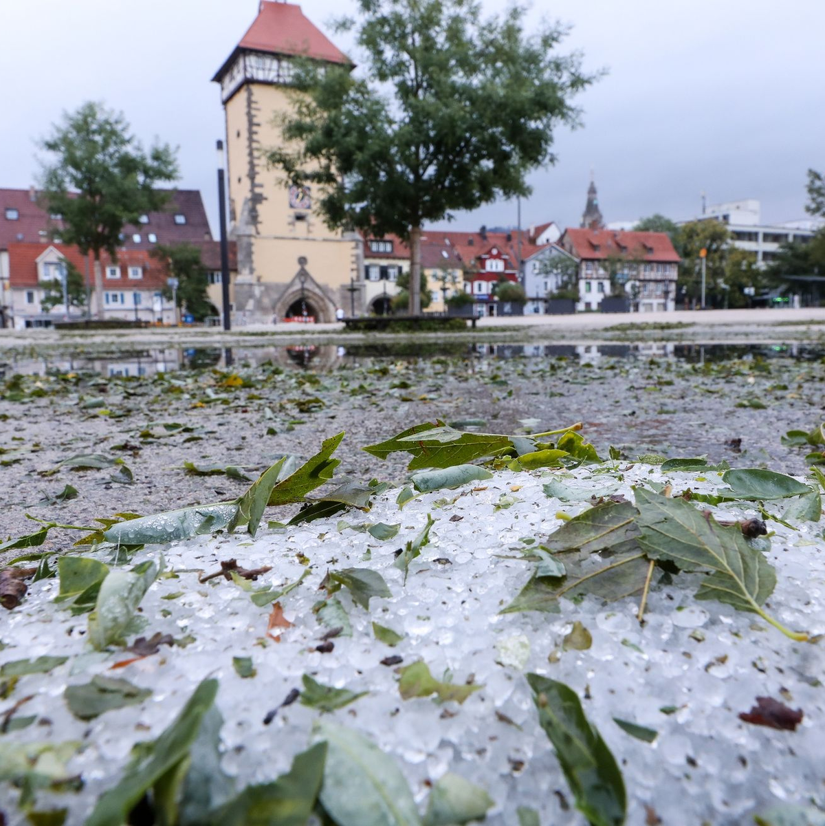 Hagelkörner und vom Sturm abgerissene Blätter liegen in Reutlingen auf dem Boden. - Foto: Thomas Warnack/dpa