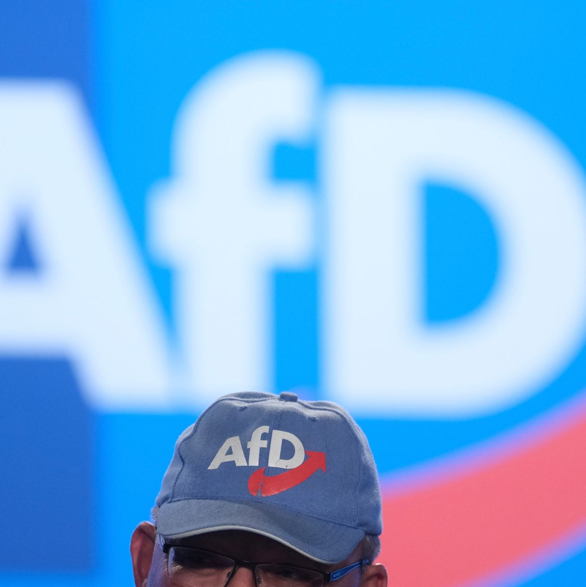 Aus Sicht der AfD soll an die Stelle der EU «ein Bund europäischer Nationen» treten. - Foto: Sebastian Willnow/dpa