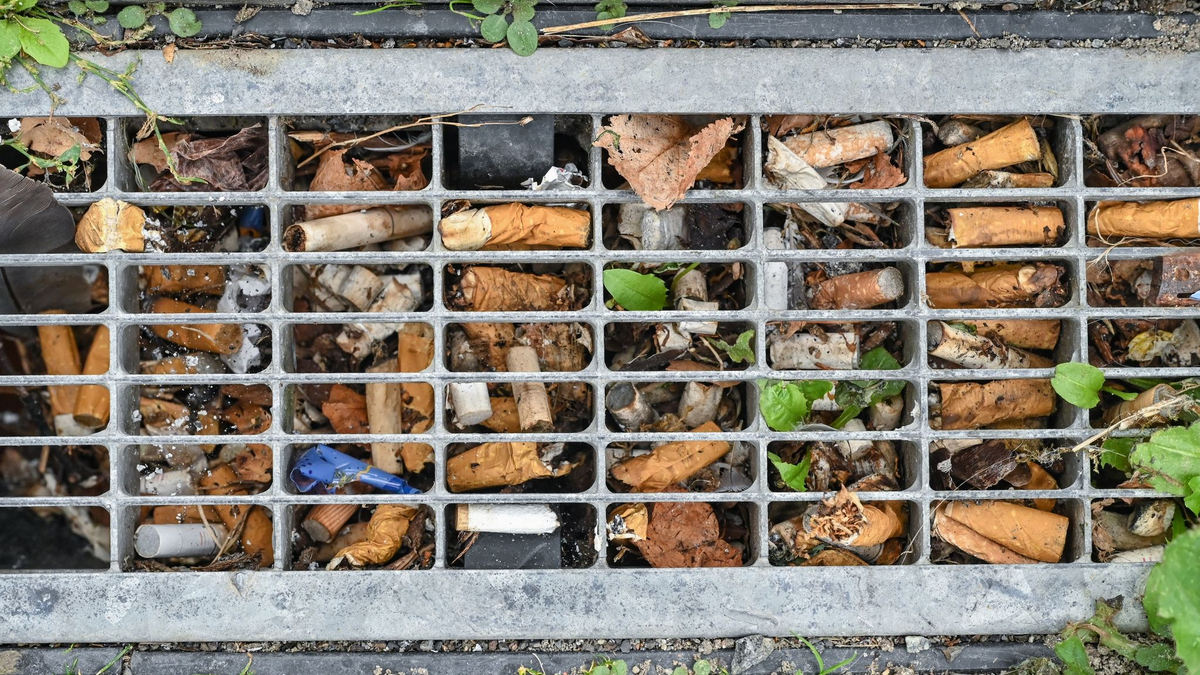 Durchschnittlich drei Zigaretten pro Quadratmeter fanden Forscher vor einigen Jahren in Berlin - das Maximum waren 49 pro Quadratmeter. - Foto: Patrick Pleul/dpa