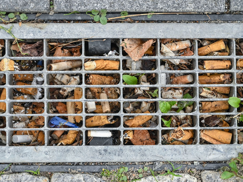 Durchschnittlich drei Zigaretten pro Quadratmeter fanden Forscher vor einigen Jahren in Berlin - das Maximum waren 49 pro Quadratmeter. - Foto: Patrick Pleul/dpa