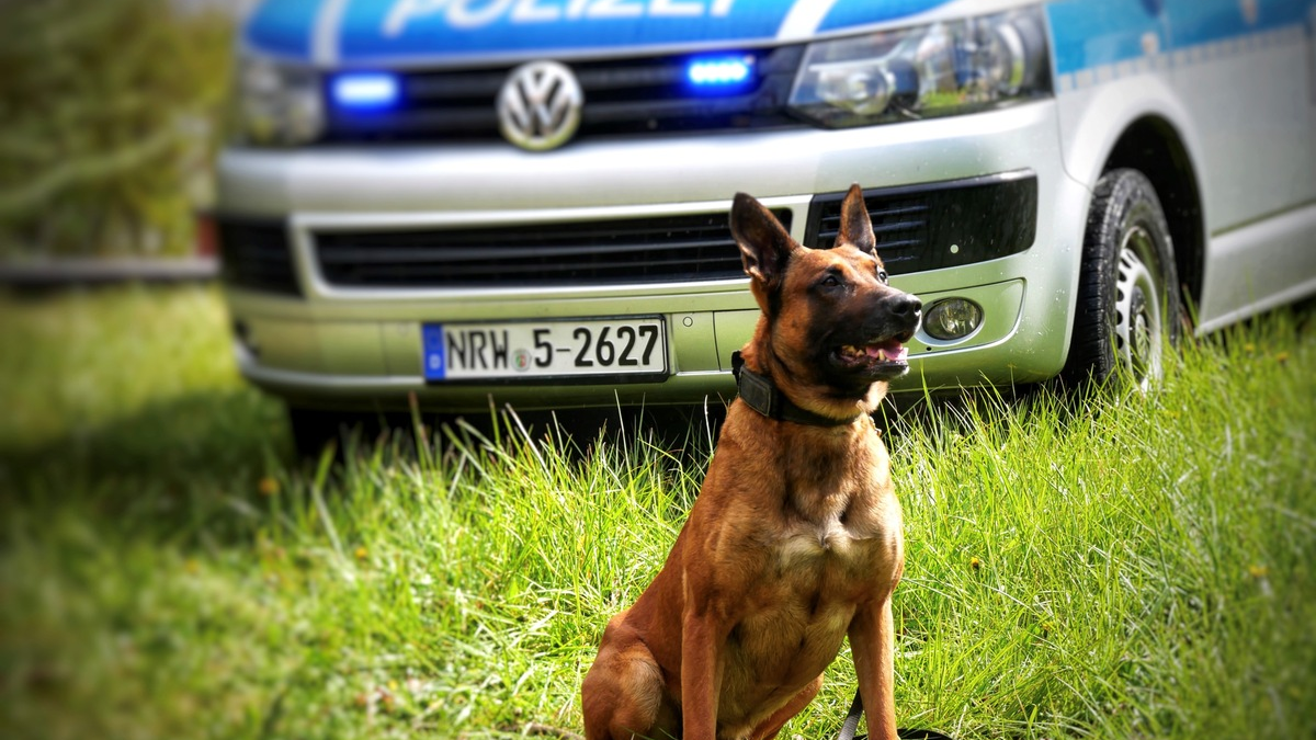 POL-HA: Mann greift Diensthundführer und Polizeihund Ragnar an - Foto: presseportal.de