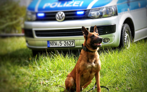 POL-HA: Mann greift Diensthundführer und Polizeihund Ragnar an - Foto: presseportal.de