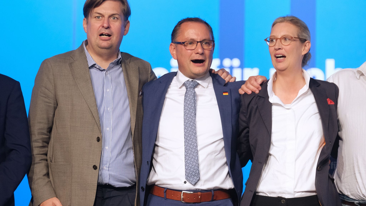 Maximilian Krah, Tino Chrupalla und Alice Weidel von der AfD. - Foto: Sebastian Willnow/dpa