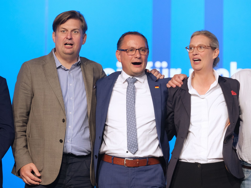 Maximilian Krah, Tino Chrupalla und Alice Weidel von der AfD. - Foto: Sebastian Willnow/dpa
