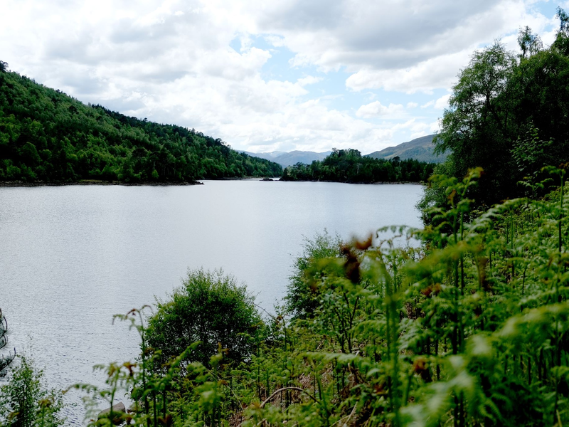 Ausblick über einen Wanderweg in Schottland. (Archivbild) - Foto: Florian Sanktjohanser/dpa-tmn