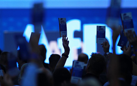 Abstimmung auf AfD-Parteitag (Archiv) - Foto: ?ber dts Nachrichtenagentur