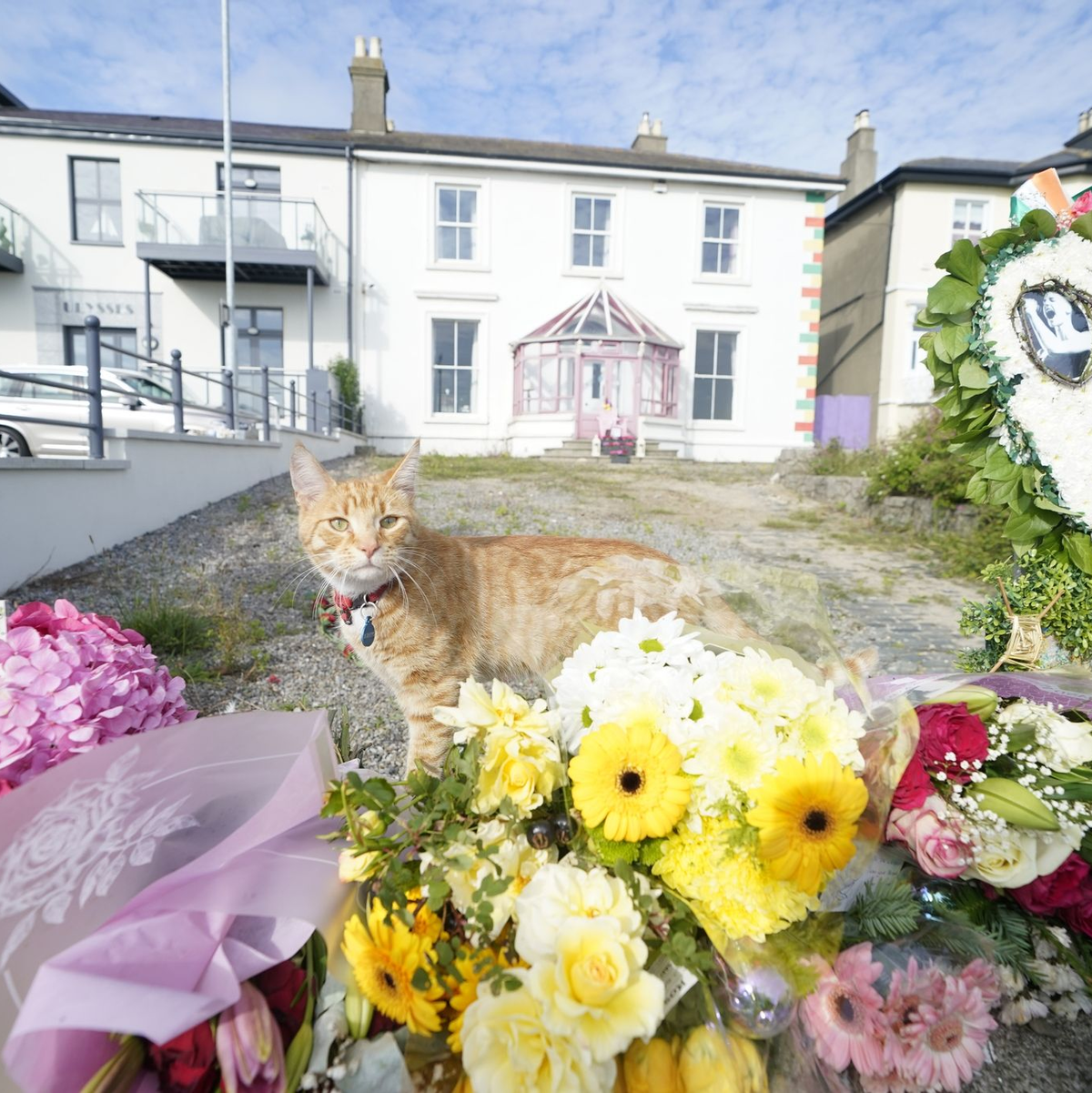 Blumen vor dem ehemaligen Haus der irischen Sängerin Sinead O'Connor. - Foto: Niall Carson/PA Wire/dpa