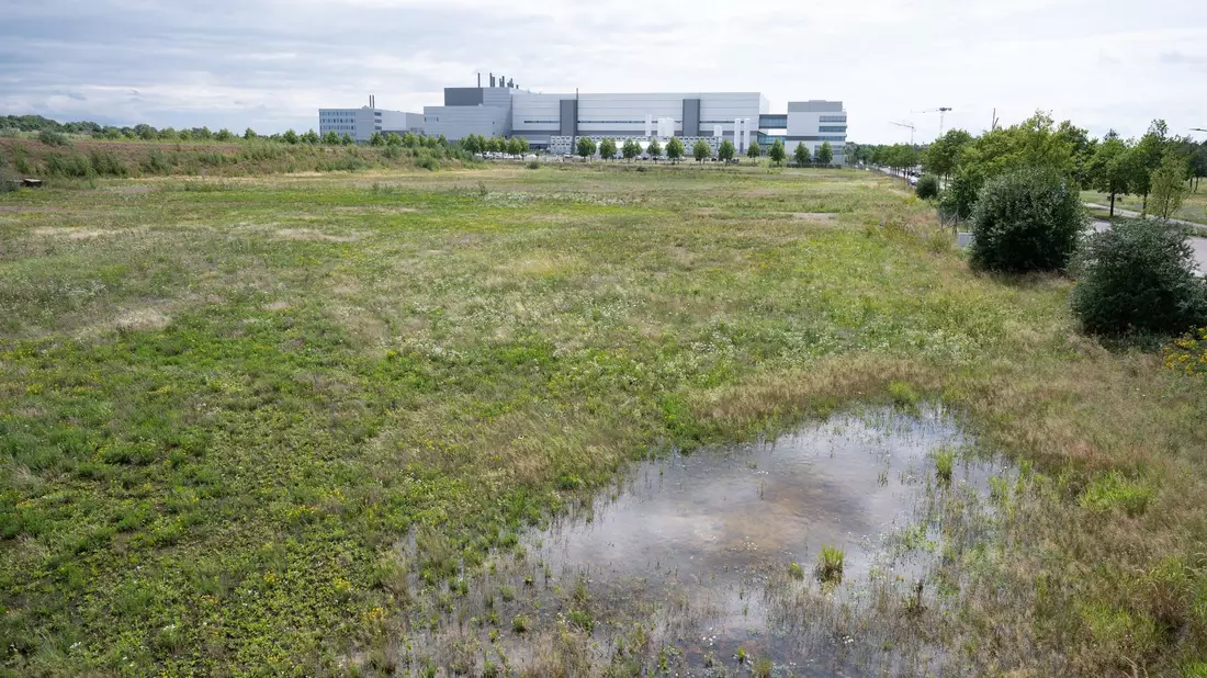 Geplanter Standort im Dresdner Norden, im Hintergrund ist die Halbleiterfabrik von Bosch zu sehen. - Bild: Sebastian Kahnert/dpa