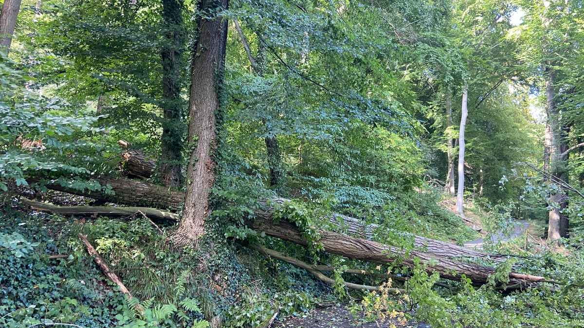 FW-NE: Brand in Industriebetrieb an der Düsseldorfer Straße nach sieben Stunden gelöscht | Keine Verletzen - Foto: presseportal.de