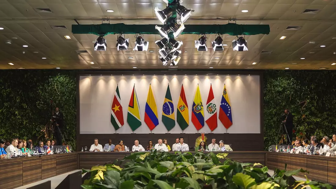 Bei dem Amazonas-Gipfel treffen sich Vertreter von Brasilien, Bolivien, Ecuador, Guyana, Kolumbien, Peru, Suriname und Venezuela. - Bild: Filipe Bispo/dpa