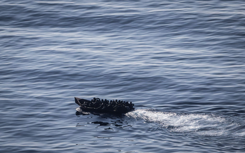 Migranten steuern ein Boot von der Nordküste Afrikas über das Mittelmeer in Richtung Lampedusa (Archivbild). - Foto: Oliver Weiken/dpa