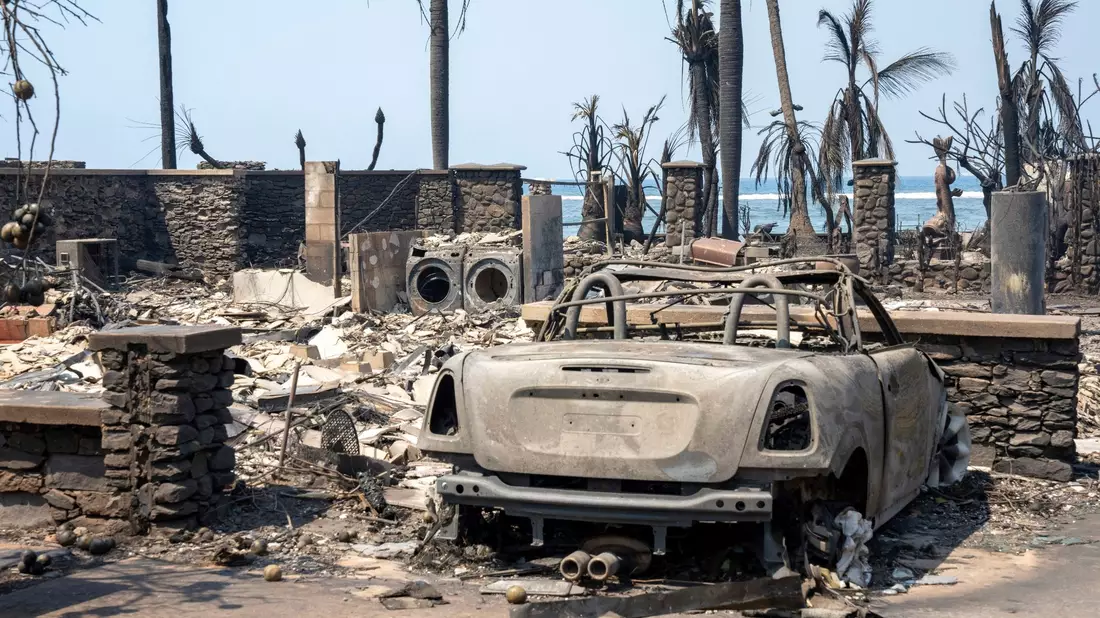 Die Trümmer des Waldbrandes in Lahaina. - Bild: Tiffany Kidder Winn/via AP/dpa