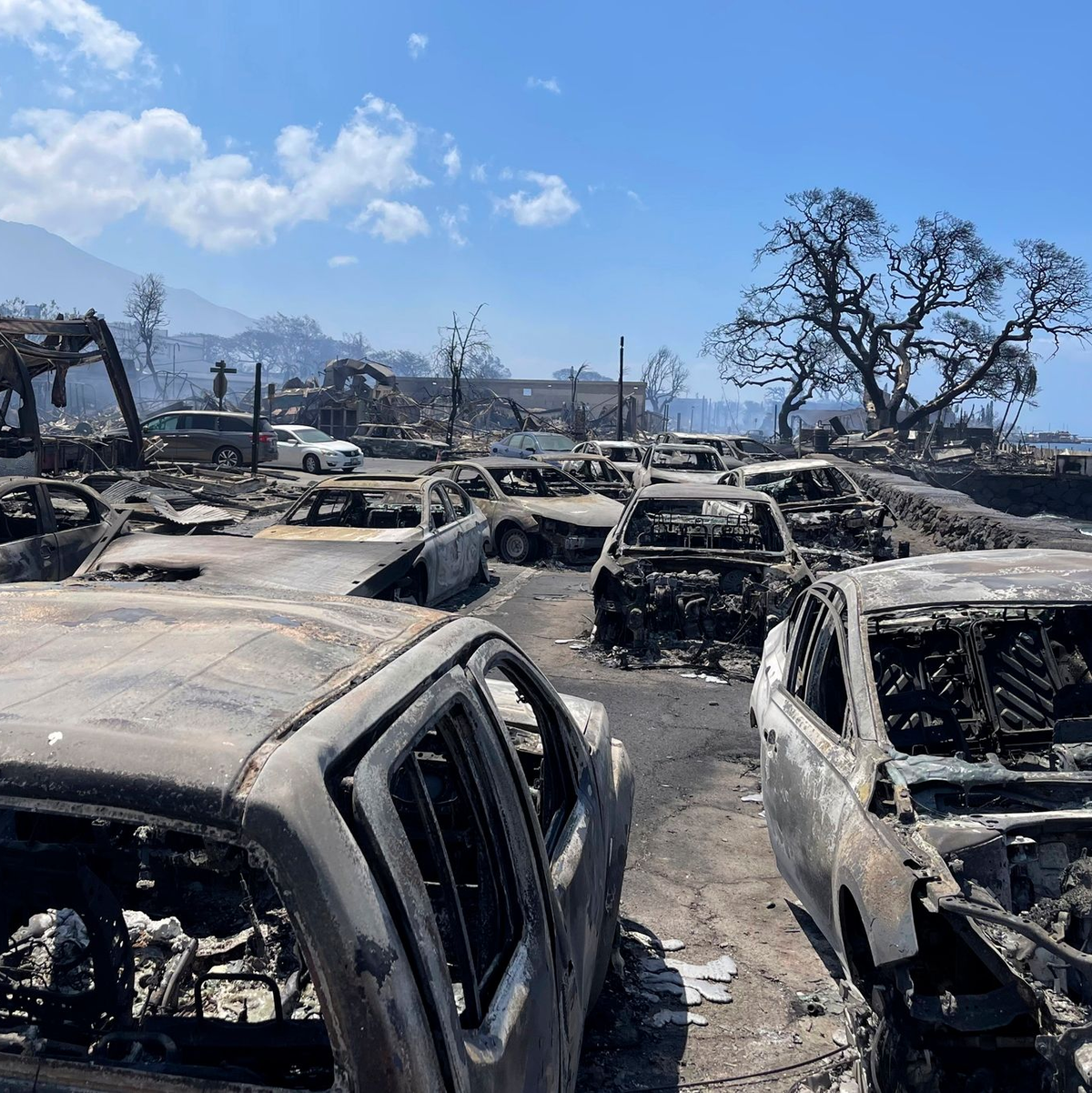Ausgebrannte Autos stehen nach dem Waldbrand in Lahaina, Hawaii. - Foto: Tiffany Kidder Winn/via AP/dpa