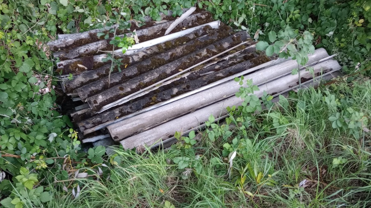 POL-LER: Pressemitteilung der Polizeiinspektion Leer/Emden für den 15.05.2024 - Foto: presseportal.de