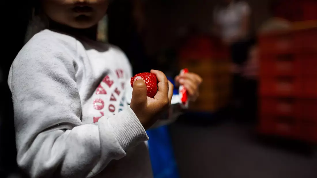 Ende August sollen Einzelheiten der geplanten Kindergrundsicherung vorliegen. - Bild: Carsten Koall/dpa