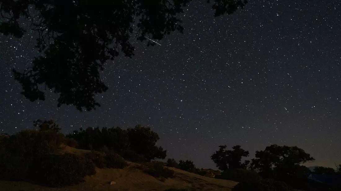 Ein Meteor beim Eintritt in die Erdatmosphäre hinter Zedernbäumen in Gavdos, Griechenland. - Bild: Petros Giannakouris/AP/dpa