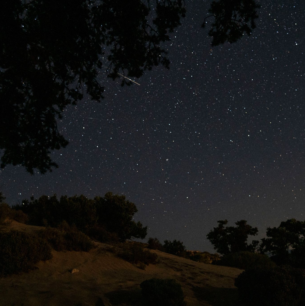 Ein Meteor beim Eintritt in die Erdatmosphäre hinter Zedernbäumen in Gavdos, Griechenland. - Foto: Petros Giannakouris/AP/dpa