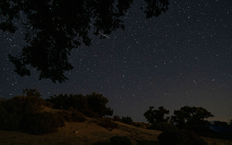 Ein Meteor beim Eintritt in die Erdatmosphäre hinter Zedernbäumen in Gavdos, Griechenland. - Foto: Petros Giannakouris/AP/dpa