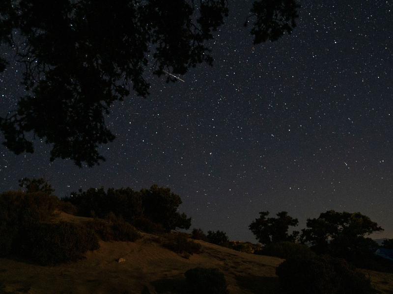 Ein Meteor beim Eintritt in die Erdatmosphäre hinter Zedernbäumen in Gavdos, Griechenland. - Foto: Petros Giannakouris/AP/dpa